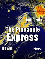 A Pineapple Express is a continuous surge of tropical moisture extending from near Hawaii all the way into a West Coast storm.